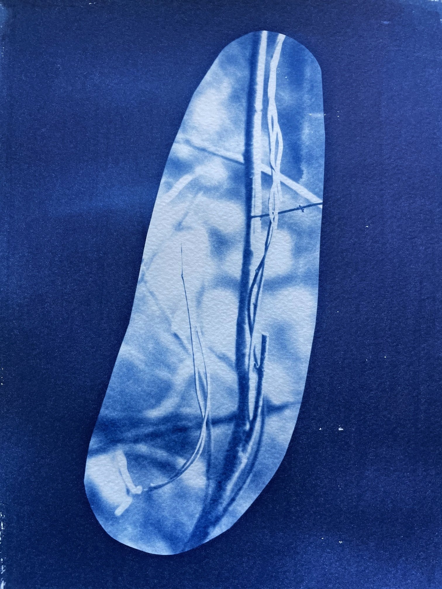 Aslı Narin, “Signals and Exchanges 8,' 2021, cyanotype printing on watercolor paper, 22 by 9 by 30 centimeters. 