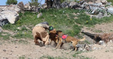 Trained dogs and gendarmerie forces are seen during a drill in central Turkey's Nevşehir province, April 22, 2021. (IHA Photo)
