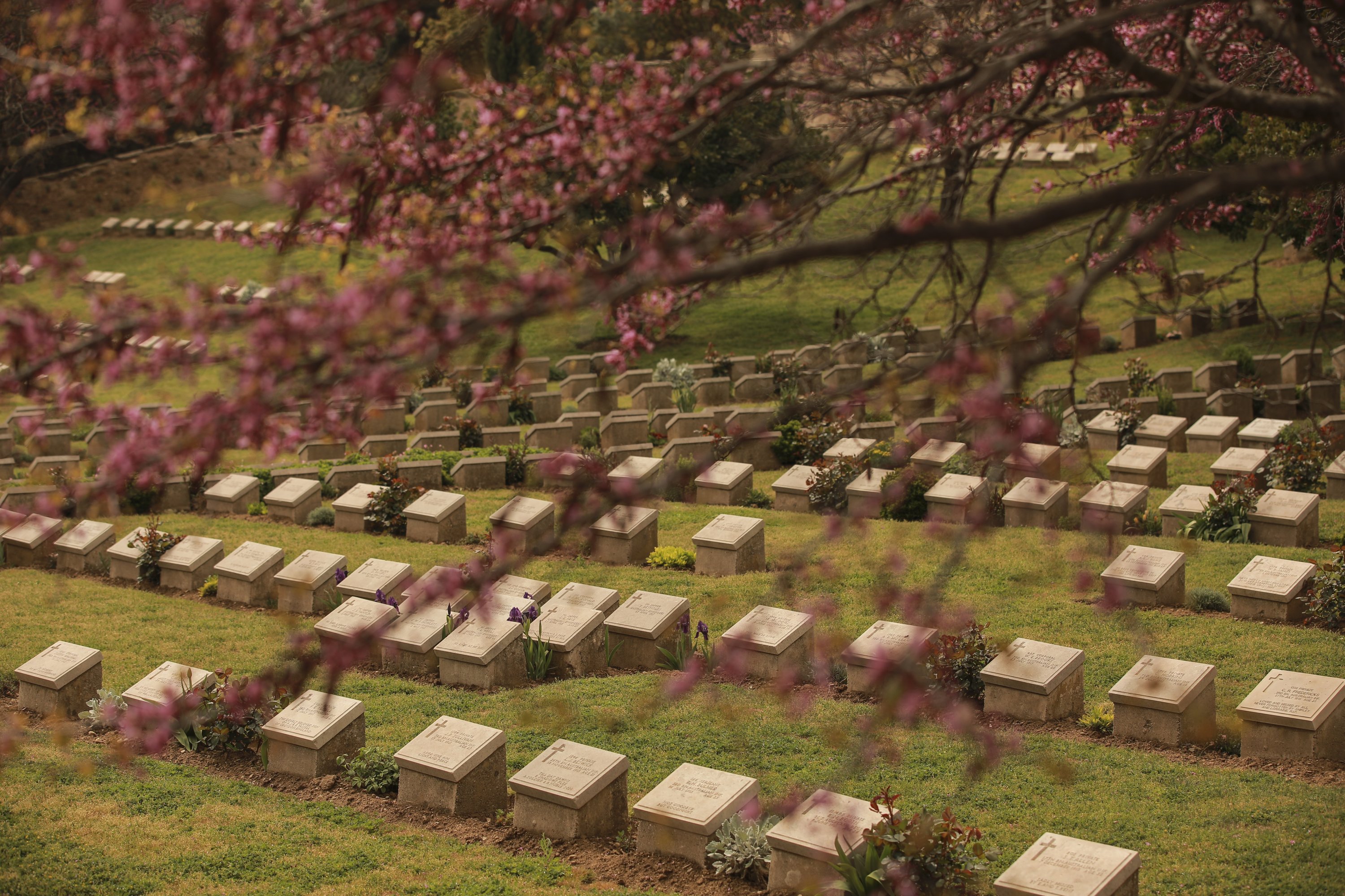 A view of the Shrapnel Valley cemetery, a day ahead of the 106th anniversary of the Gallipoli Campaignin Çanakkale, Turkey, April 24, 2021. (AP Photo)