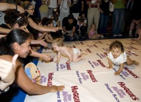 Babies are coached toward the finish line by their parents during a baby race in New York City, New York, the U.S., July 24, 2009. (AFP Photo)