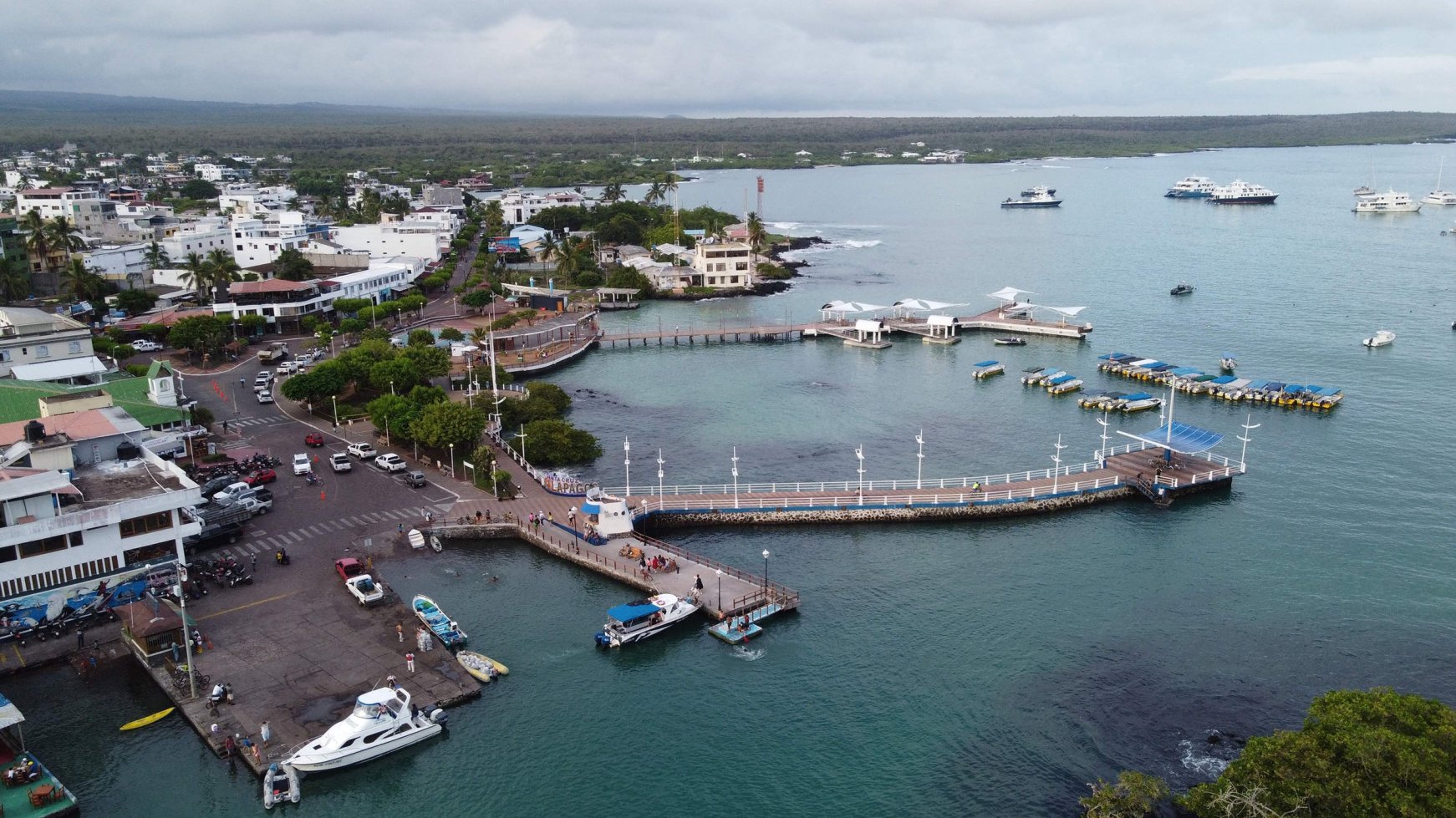 Pandemic Puts Galapagos Tourism Science On Pause Daily Sabah   111320 