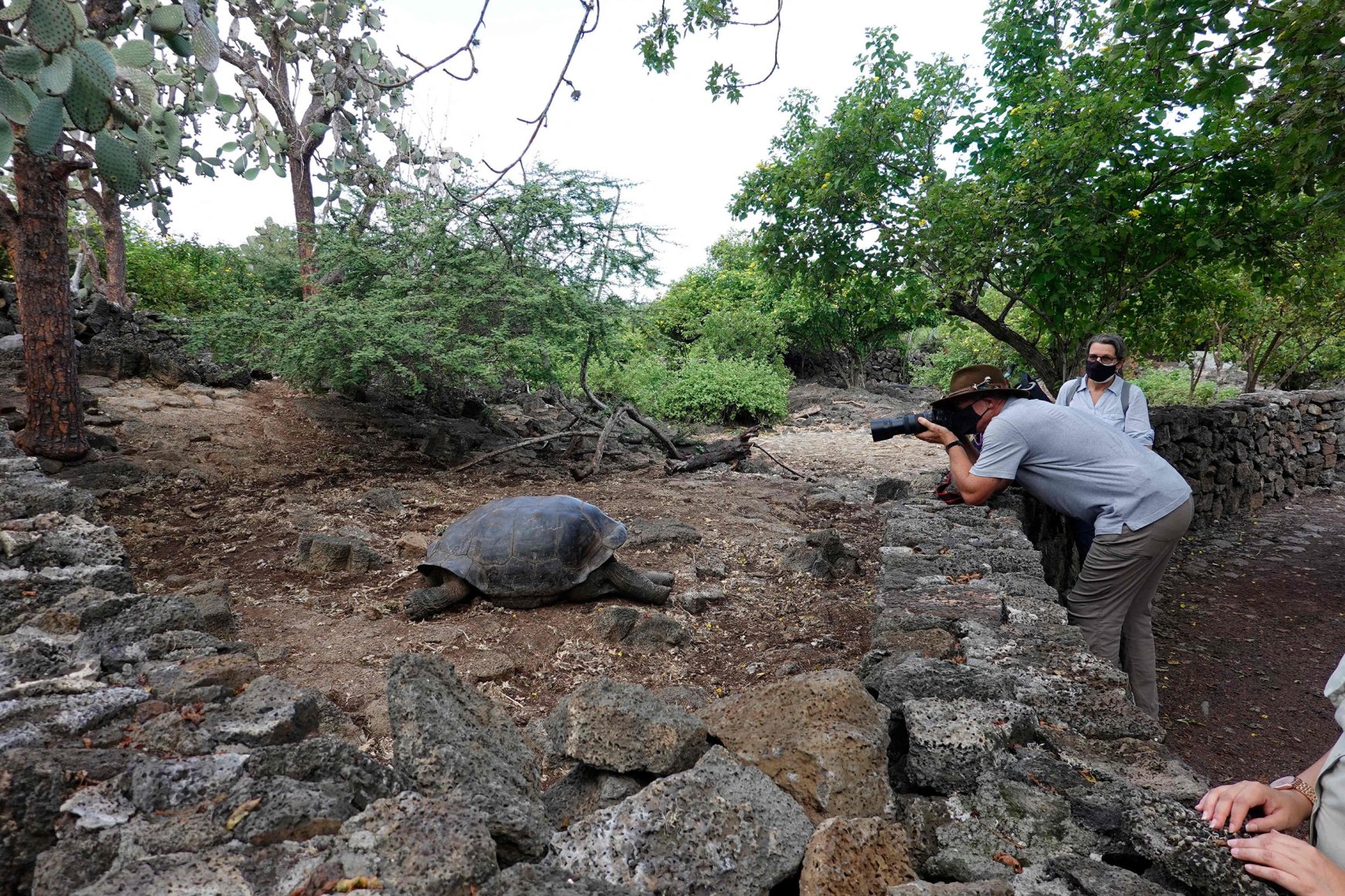 Pandemic Puts Galapagos Tourism Science On Pause Daily Sabah   111329 