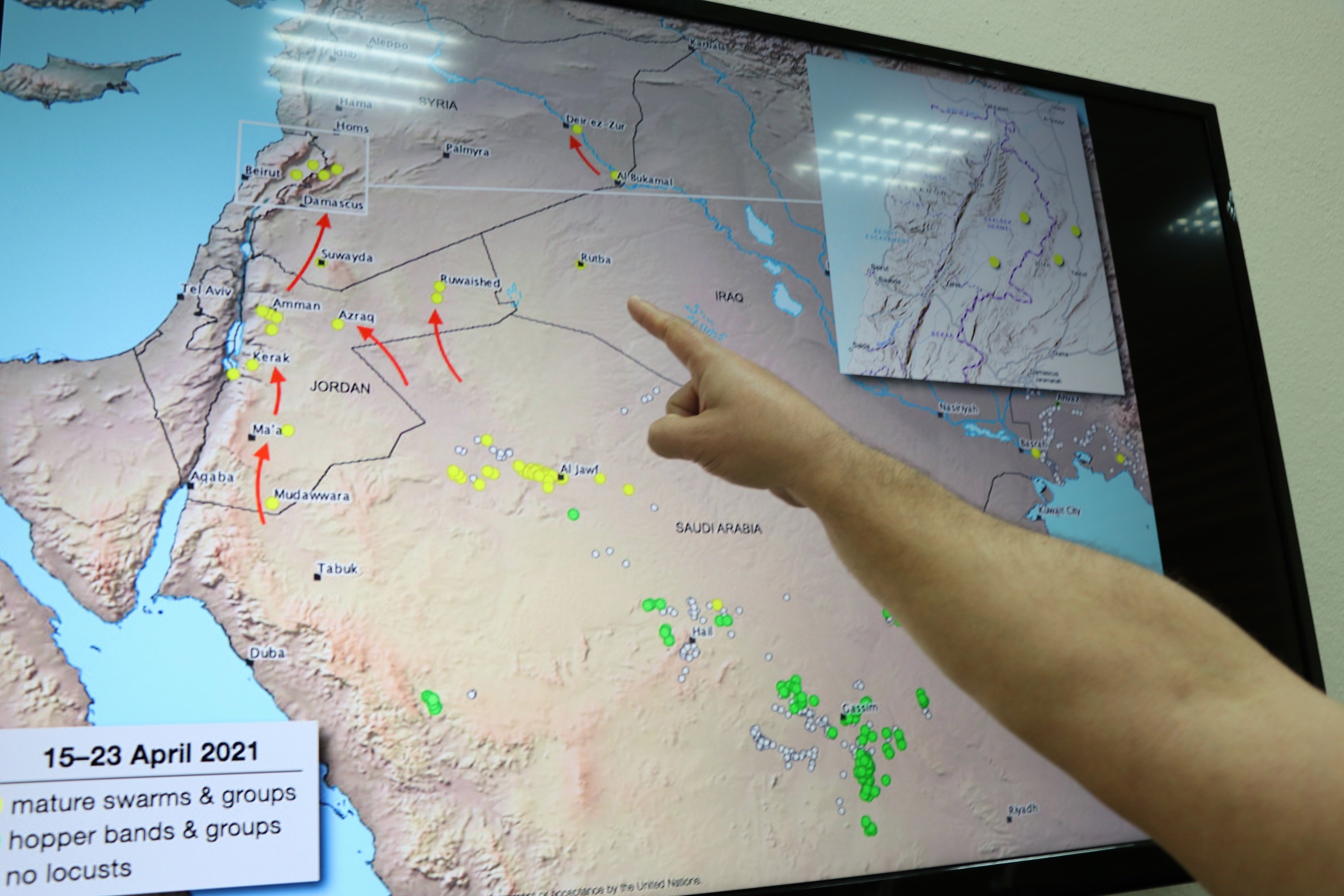 Zoology professor Ali Satar points out the route of desert locusts, in Diyarbakır, Turkey, April 30, 2021. (DHA Photo)