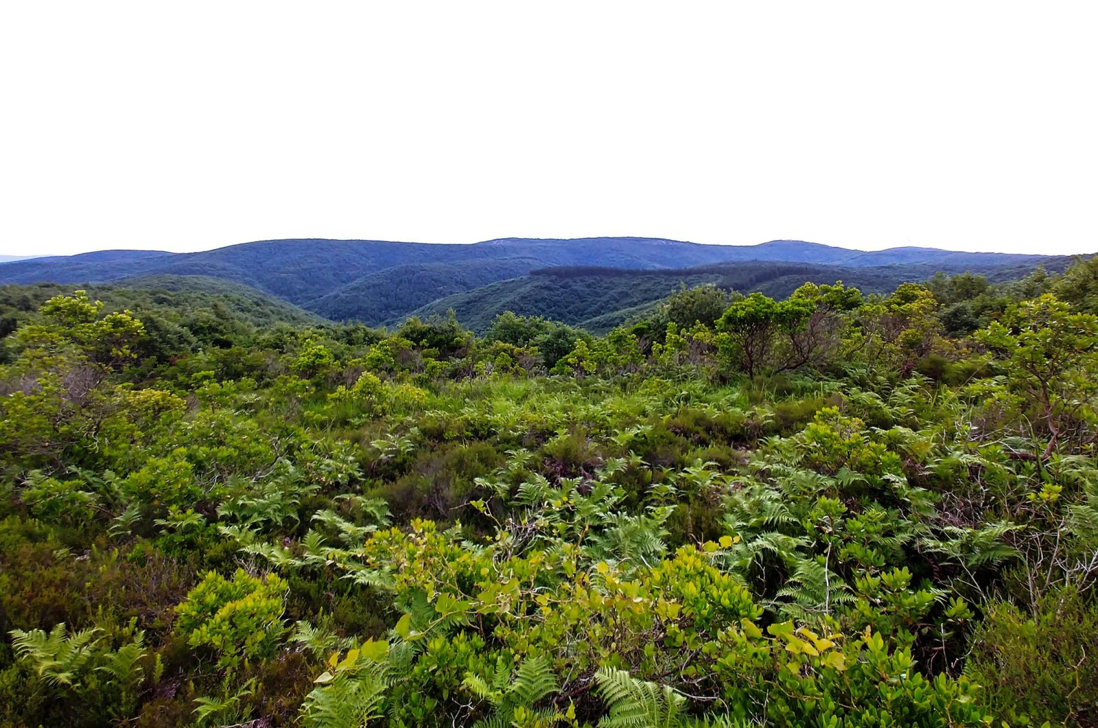 Over the hills and much absent: A journey of rediscovery in Istanbul
