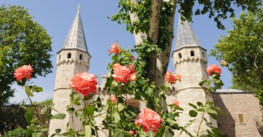 A view from Topkapı Palace with roses, Istanbul, Turkey.