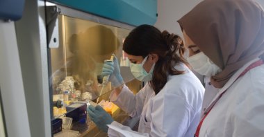 Researchers work at a lab at TÜBITAK's Institute of Biotechnology in Kocaeli, northwestern Turkey, May 3, 2021. (AA PHOTO)
