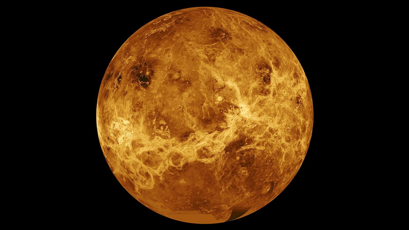 Data from NASA's Magellan spacecraft and Pioneer Venus Orbiter is used in an undated composite image of the planet Venus. (NASA via Reuters)