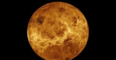 Data from NASA's Magellan spacecraft and Pioneer Venus Orbiter is used in an undated composite image of the planet Venus. (NASA via Reuters)