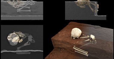 This handout computer-generated image released on May 4, 2021, by the CNRS-University of Bordeaux, shows the remains of a 3-year-old child named by the scientists "Mtoto" (meaning "child" in Swahili) and buried inside a deliberately dug pit, were discovered by archaeologists.  (AFP Photo /FRANCESCO D'ERRICO AND ALAIN QUEFFELEC/CNRS-UNIVERSITY OF BORDEAUX)