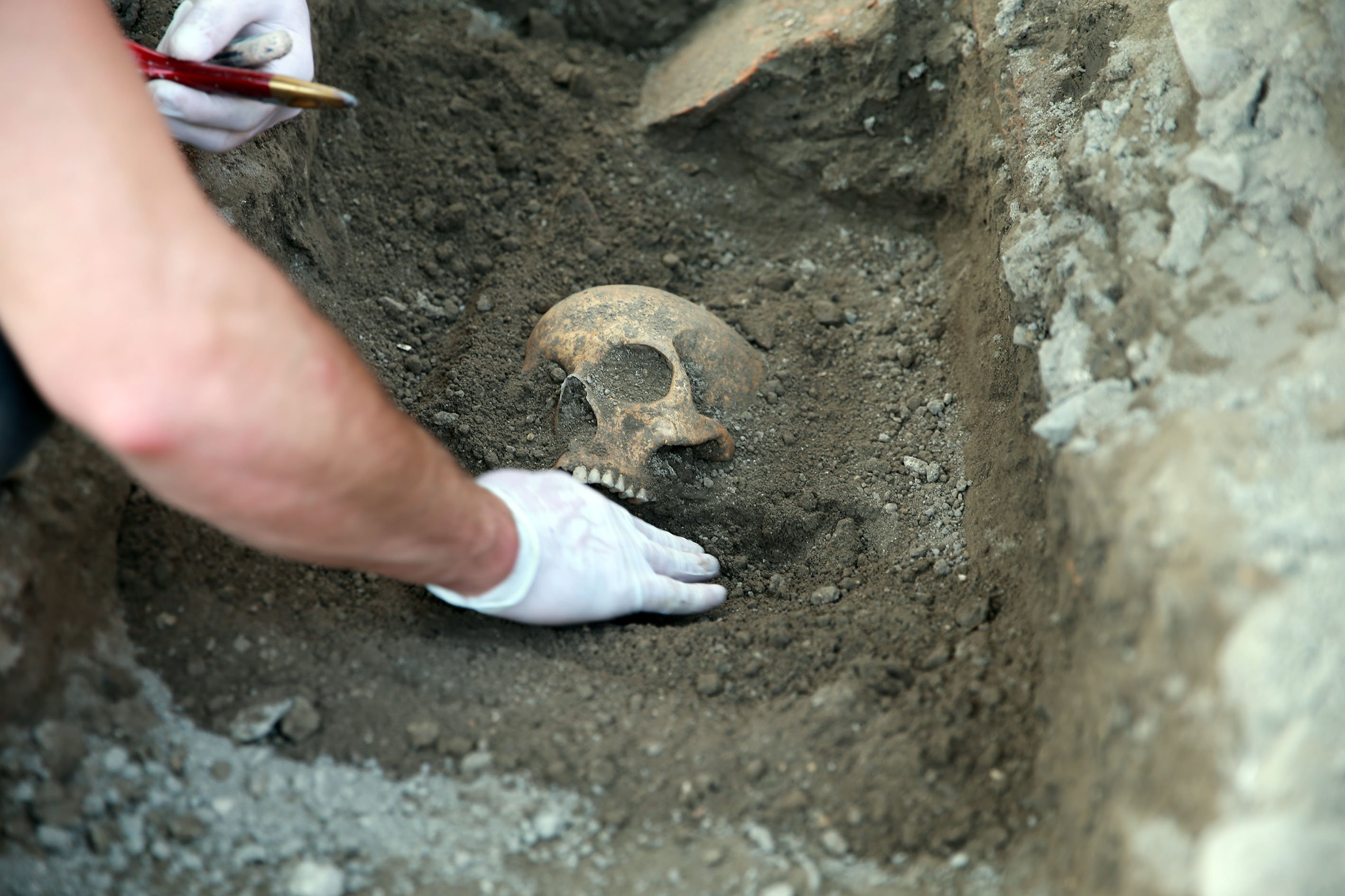 A close-up of a skeleton head found at the Kadıkalesi archaeological site, Aydın, western Turkey, May 6, 2021. (AA Photo)