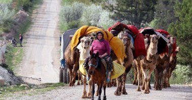 Nomads and their flock head to cooler plateaus in the Konya and Karaman districts for the summer season, Mersin, Turkey, May 4, 2021. (DHA Photo)