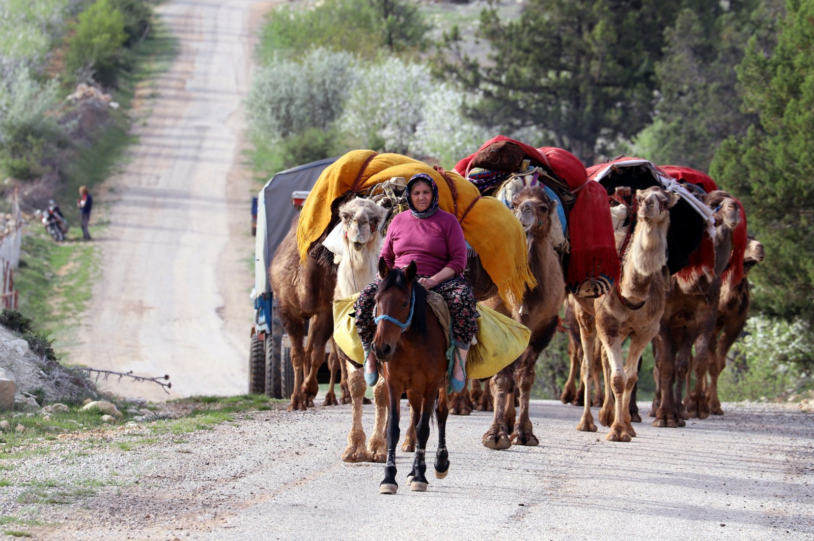 Yörükler, Anadolu'nun Göçebe Türkleri