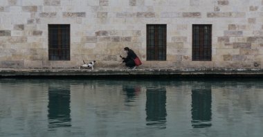 A woman takes a photo of a street cat at Balklgöl in Şanlurfa on April 3, 2021. (SOPA Images/LightRocket via Getty Images)