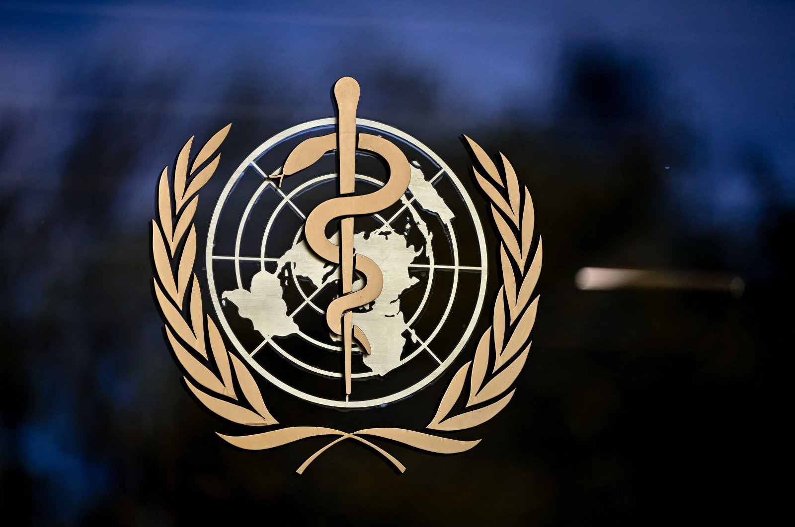 A sign of the World Health Organization (WHO) is seen at the entrance of the agency's headquarters in Geneva, Switzerland, May 8, 2021. (AFP Photo)
