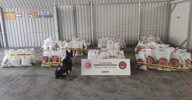 A drug sniffer dog stands near seized Captagon pills, Hatay province, Turkey, May 16, 2021. (DHA PHOTO)