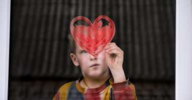 After viral diseases, it is important to look after your body and especially your heart. (Alamy Photo)