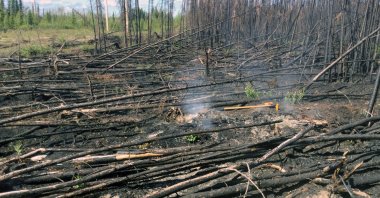 Smoke rises from a hot spot in the Swan Lake Fire scar at the Kenai National Wildlife Refuge, Alaska, U.S., June 16, 2020. (Reuters Photo)