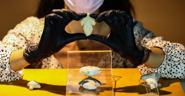 A museum official shows the body of a Stargazer at the Izmir Archaeology Museum, western Turkey, May 14, 2021. (AA Photo) 