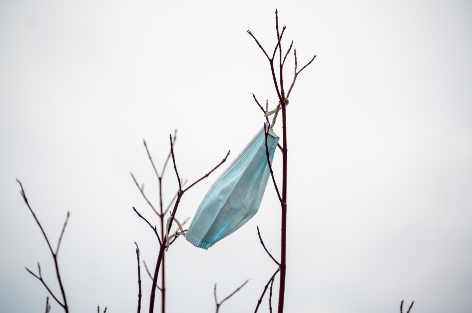 A discarded face mask is caught on a tree branch near Hudson Yards amid the coronavirus outbreak, New York City, New York, U.S., Dec. 31, 2020. (Photo by Getty Images)