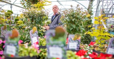Owner Robin Mercer poses amongst flowering plants in a greenhouse at Hillmount Garden Centre in east Belfast, Northern Ireland, May 19, 2021. (AFP Photo)