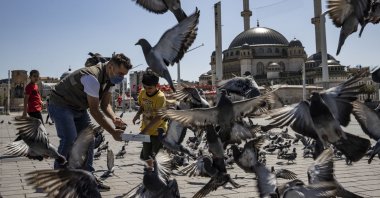 Turkish nature protection authorities help feed the birds and street animals during the total lockdown in Istanbul's famous Taksim Square, Turkey, May 15, 2021 (AA File Photo)