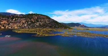 An aerial view of the reeds in Dalyan Channel in Muğla, southwestern Turkey, May 19, 2021. (AA Photo)