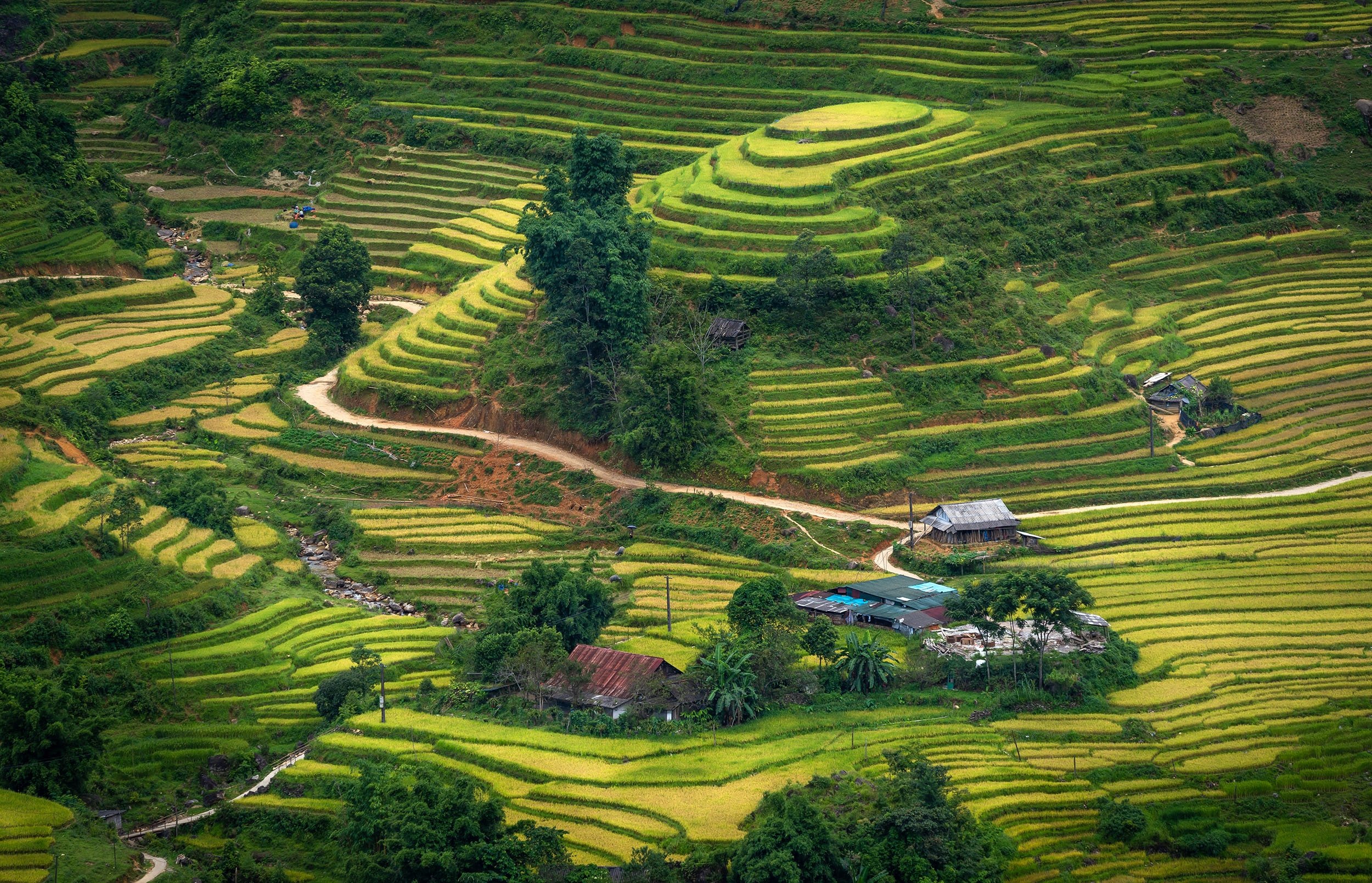 Green rice terraces can be seen in a paddy field at the town of Sa Pa, in the Hoang Lien Son mountain range, Lao Cai, Vietnam. (Shutterstock Photo)