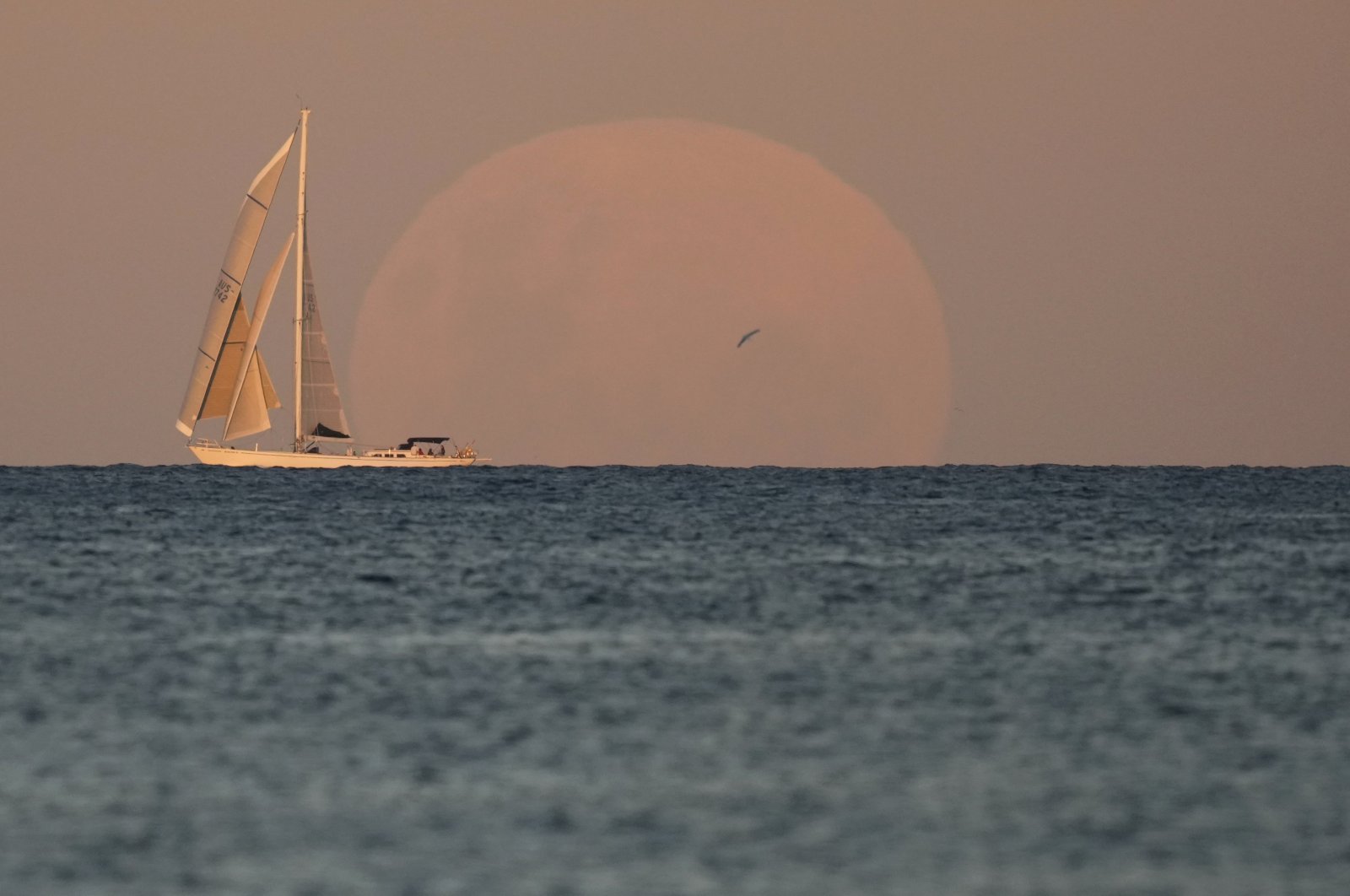 A yacht sails past as the moon rises in Sydney, Australia, May 26, 2021.  (AP Photo)
A total lunar eclipse, also known as a Super Blood Moon, will take place later tonight during which the moon will appear slightly reddish-orange in color.