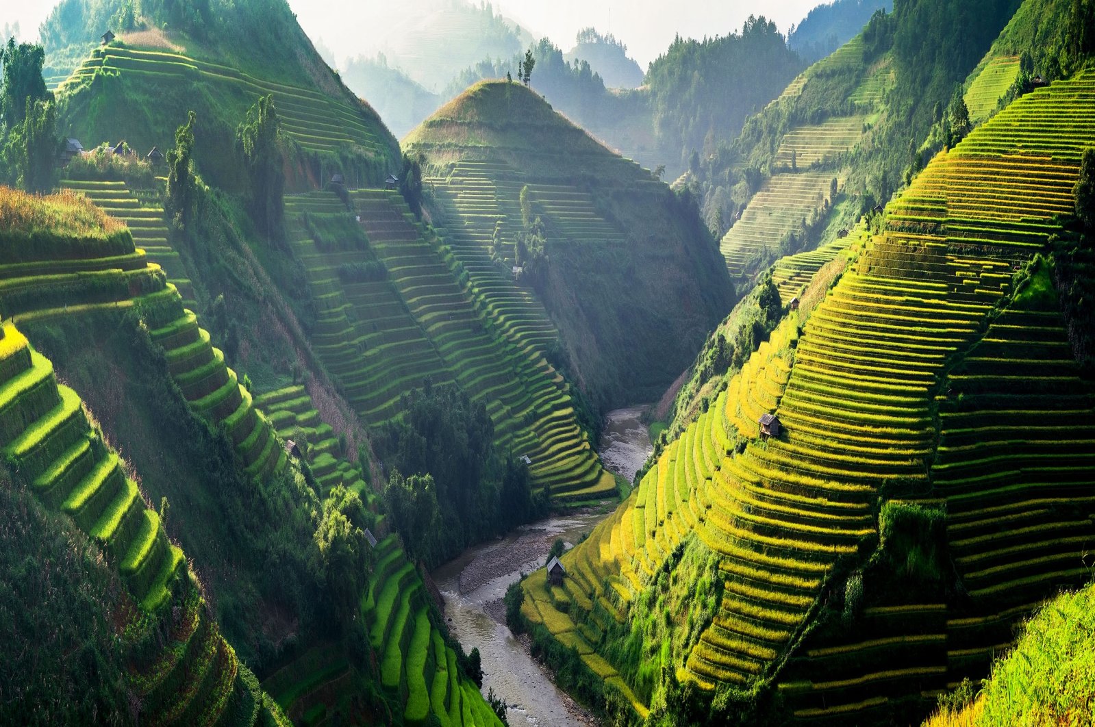 Sun shines onto the terraces of rice fields in northwestern Vietnam. (Shutterstock Photo)