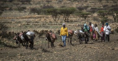People walk from a rural area towards a nearby town housing a food distribution center operated by the Relief Society of Tigray, near the town of Agula, in the Tigray region of northern Ethiopia, May 8, 2021. (AP Photo)