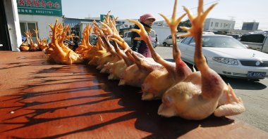 Slaughtered chickens are displayed for sale at a wholesale poultry market in Shanghai, China, Jan. 21, 2014. (AP Photo)