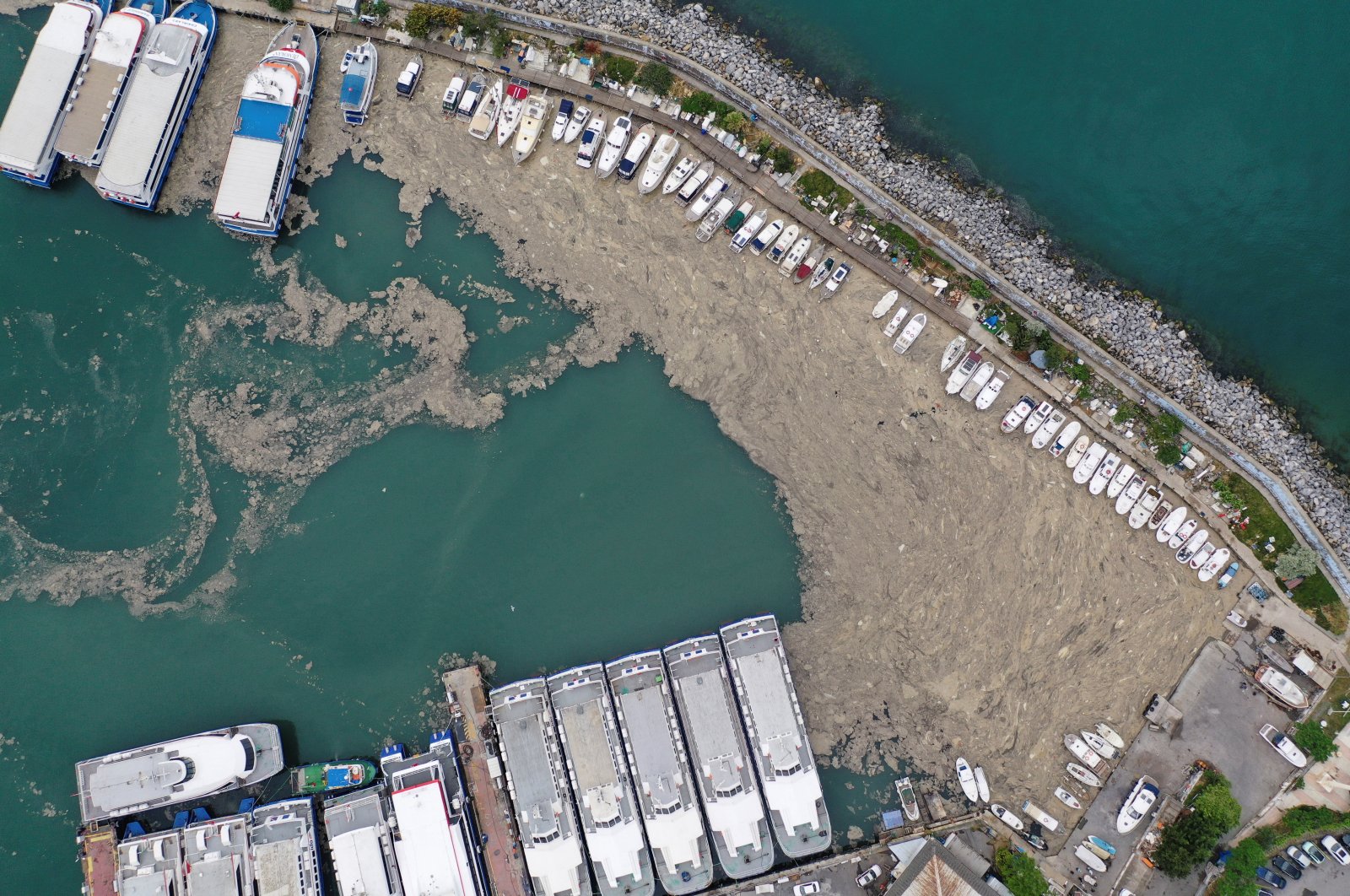 Climate change, untreated sewage exacerbate Marmara's 'sea snot' | Daily Sabah - Daily Sabah