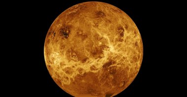 A composite image, created with the data from NASA's Magellan spacecraft and Pioneer Venus Orbiter, shows the planet Venus. (NASA via Reuters)