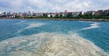 A view of the "sea snot" off the coast of the Asian side of Istanbul, Turkey, June 4, 2021. (AA PHOTO)