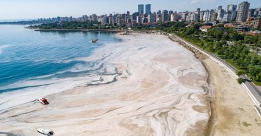 Mucilage, or "sea snot," covers the shoreline in Istanbul, Turkey, June 6, 2021. (AFP PHOTO)