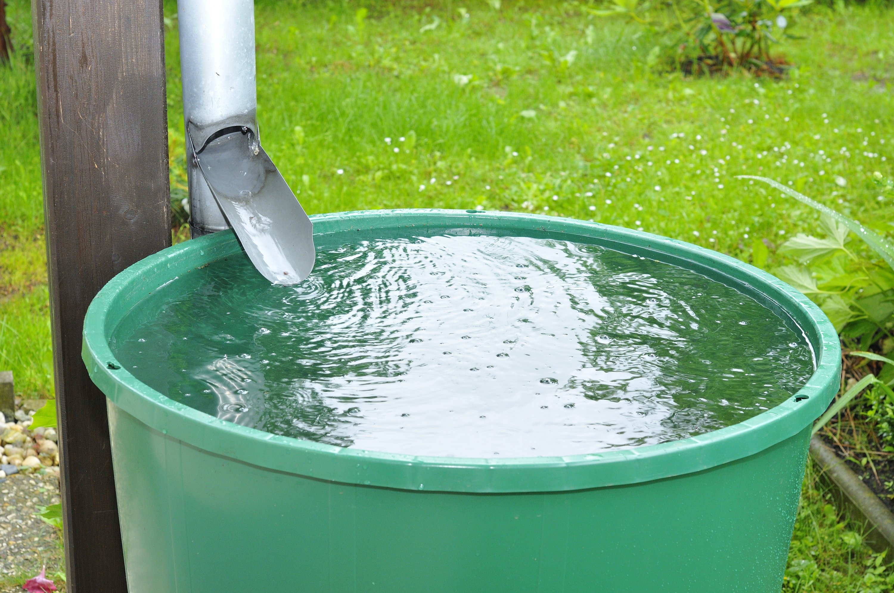 Rainwater is not only useful for watering the garden but also for cleaning and other things in the house. (Shutterstock Photo)