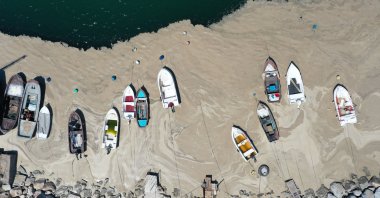 Boats are surrounded by sea snot off the coast of Gemlik district, in Bursa, northwestern Turkey, June 9, 2021. (AA PHOTO)