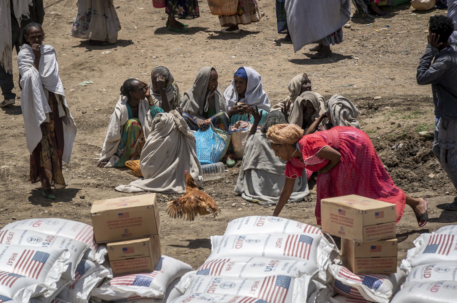 A woman chases a chicken as others sit and wait to receive food supplies such as wheat, yellow split peas and vegetable oil at a food distribution operated by the Relief Society of Tigray in the town of Agula, in the Tigray region of northern Ethiopia, May 8, 2021. (AP Photo)