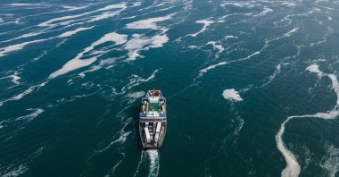 A ship sails through patches of sea snot near Kocaeli, east of Istanbul, Turkey, June 12, 2021. (AP Photo)