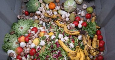 Vegetables and fruit inside a dumpster, in Istanbul, Turkey, June 21, 2021. (DHA PHOTO)