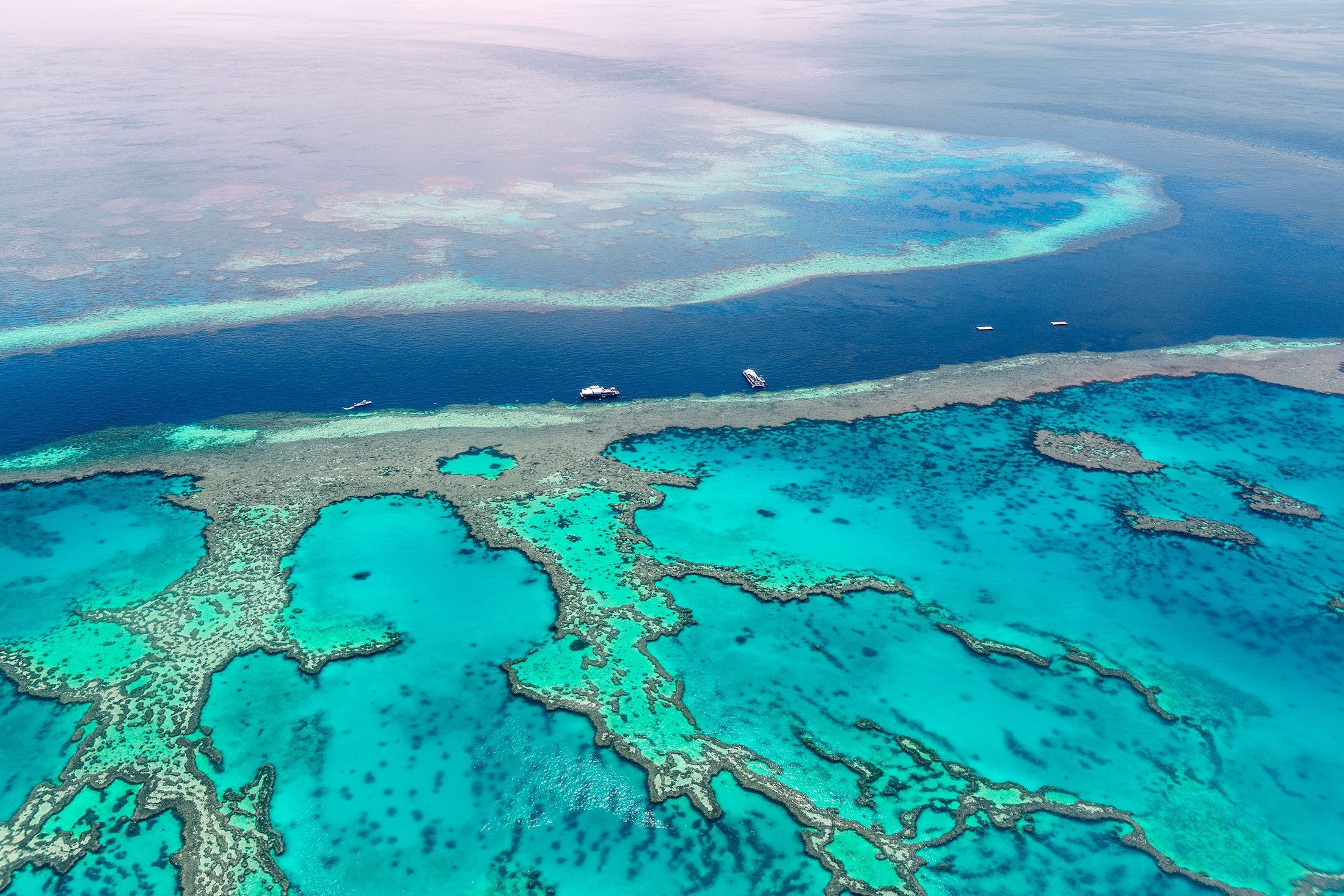 Will Australia's Great Barrier Reef lose its UNESCO status? Daily Sabah