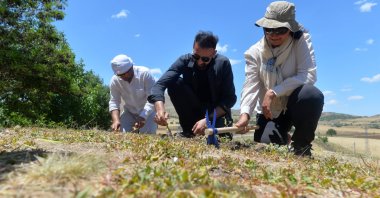 A group of archaeologists carry out excavations by hand at the Tozkoparan Mound site in Tunceli, Turkey, June 22, 2021. (AA Photo)