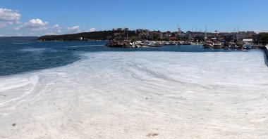 Sea snot covering parts of the sea in Çanakkale, which is one of the closest locations to the Greek island of Lemnos, Çanakkale, western Turkey, June 21, 2021. (DHA PHOTO)