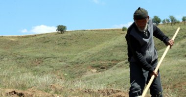 Osman Erol prepares a spot for planting a sapling, in Çankırı, central Turkey, June 28, 2021. (AA PHOTO) 
