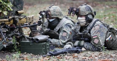 Soldiers demonstrate their skills during the visit of German President Frank-Walter Steinmeier at the German/Netherlands Corps in Muenster, Germany, Sept. 29, 2020. (AP Photo)