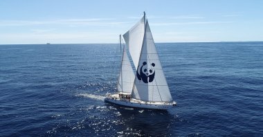 The World Wildlife Fund's ship Blue Panda.