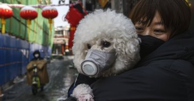 A Chinese woman holds her dog that is wearing a protective mask as they stand in the street in Beijing, China, Feb. 7, 2020. (Getty Images)
