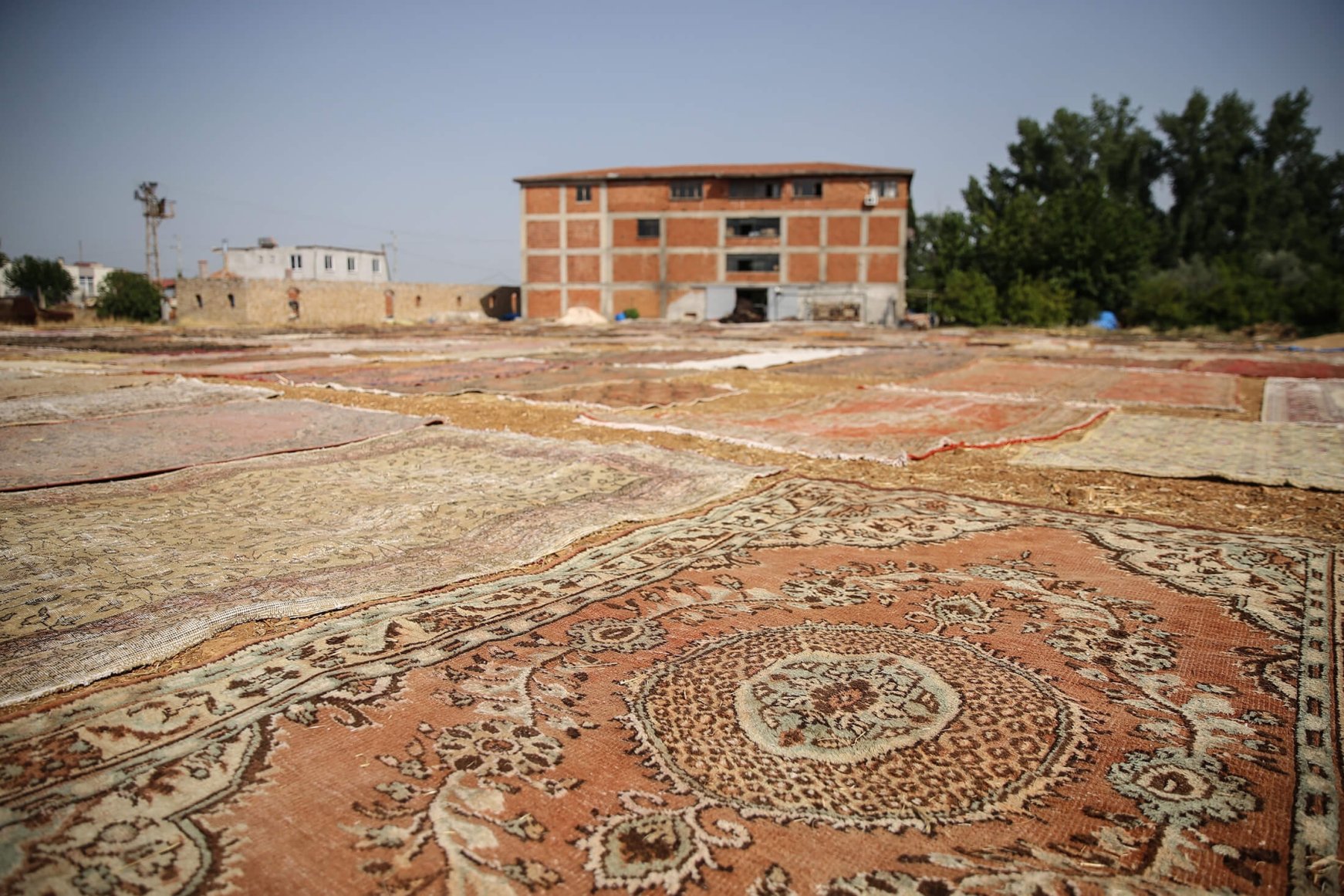 Hand-woven carpet and kilim fields of Turkey’s Antalya | Daily Sabah