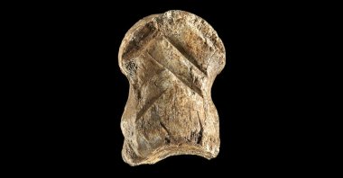 This undated image shows an engraved giant deer bone from Einhornhohle, northern Germany. (NLD via AFP)