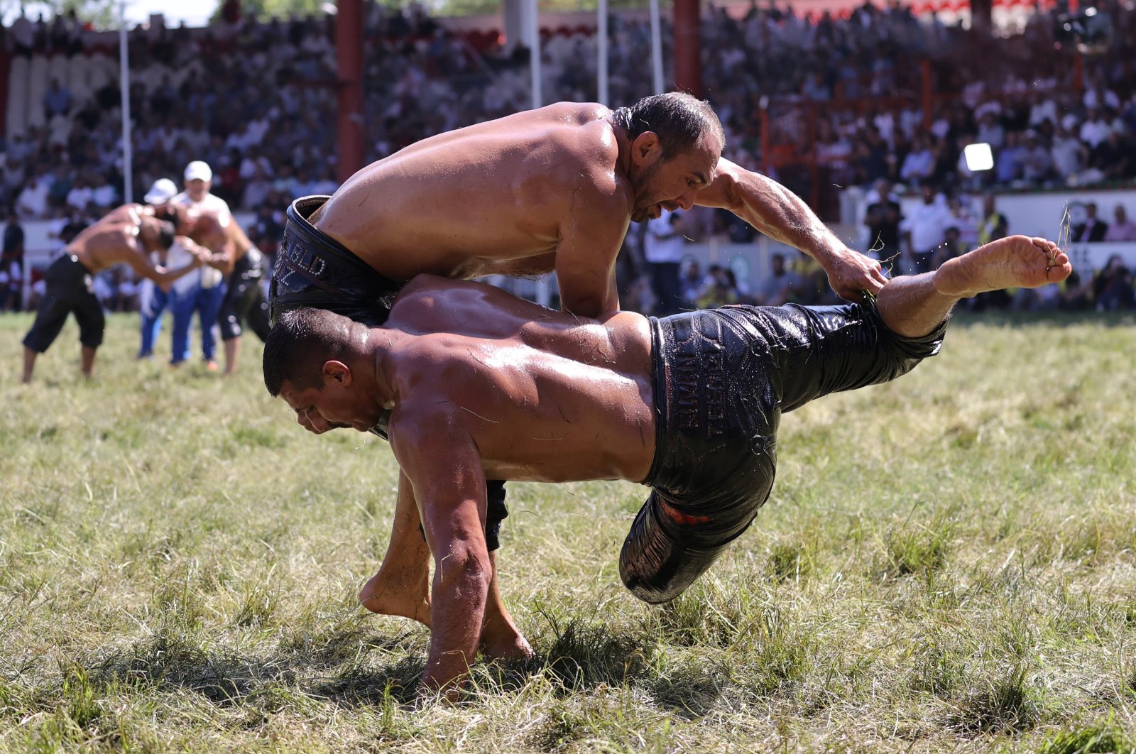 Wrestlers, doused in olive oil, wrestle each other during the 660th installment of the annual Historic Kırkpınar Oil Wrestling championship, in Edirne, northwestern Turkey, July 10, 2021. (AA Photo)